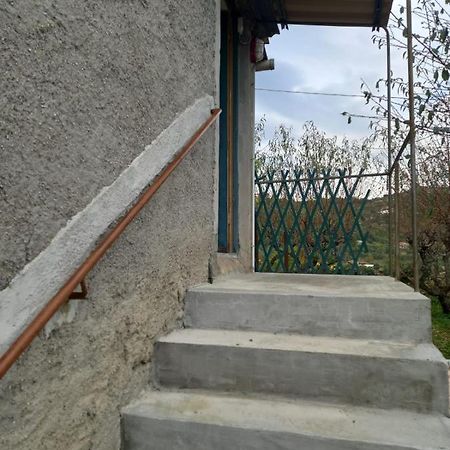 Casa Vita Appartement Vallebona Buitenkant foto
