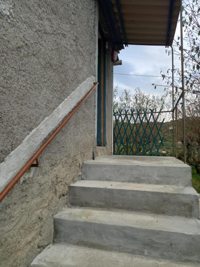 Casa Vita Appartement Vallebona Buitenkant foto
